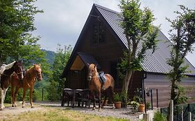Cottage Kolkha